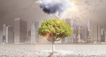 Carbon Footprint di organizzazione